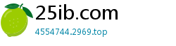 25ib.com